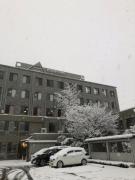 令和4年12月26日（月）厚生病院⛄雪の風景